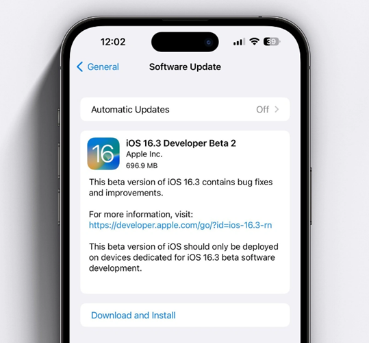 iOS 16.3 Beta 2