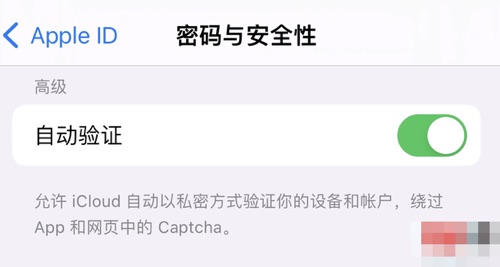 ios16自动验证