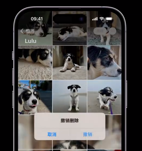 撤销删除照片